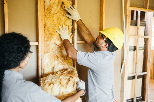  Briar, TX Insulation Installation & Removal Pros